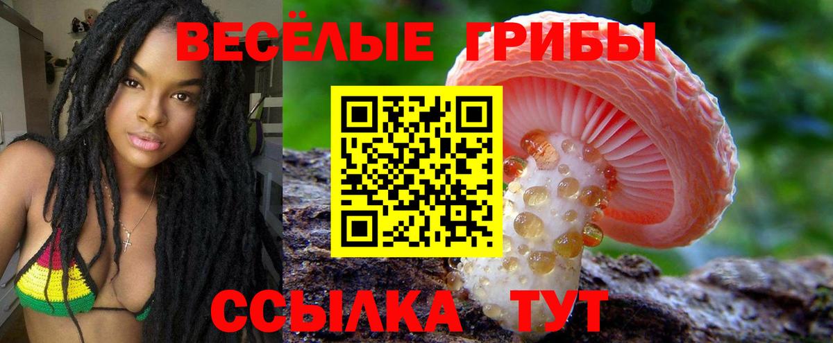 Галлюциногенные грибы Psilocybine cubensis  Псилоцибиновые грибы GOLDEN TEACHER  Бутурлиновка  Вход с VPN 